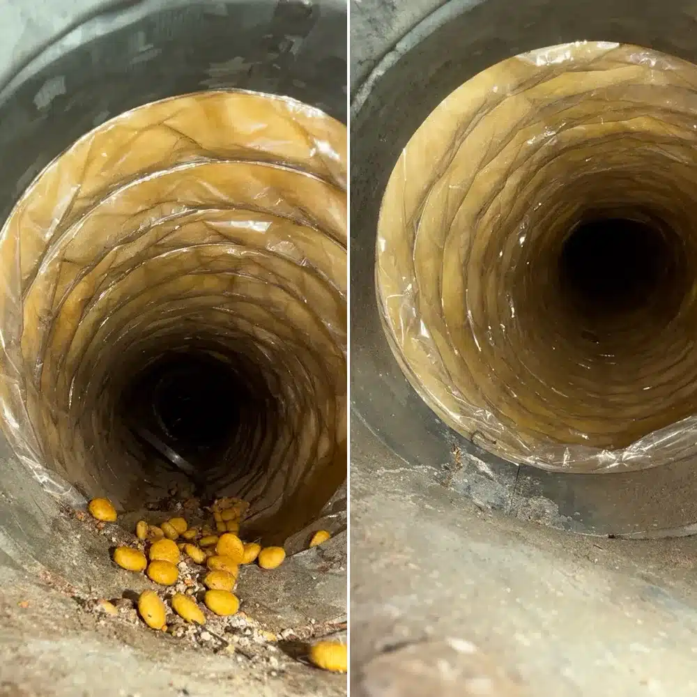 Before and after duct cleaning on a Comfort 360 job in Vancouver, WA